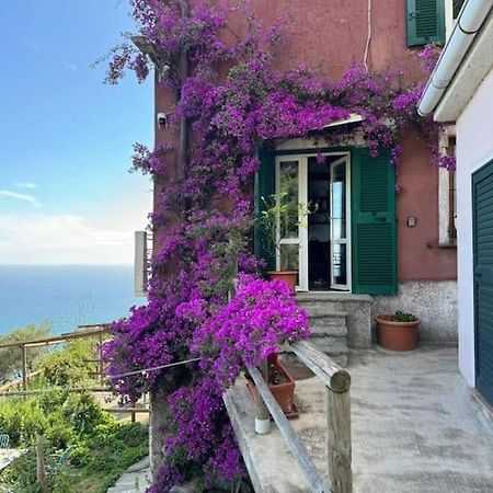 Апартаменти Amazing Flat At The Heart Of 5 Terre National Park Вернацца Екстер'єр фото