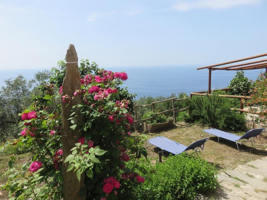 Апартаменти Amazing Flat At The Heart Of 5 Terre National Park Вернацца Екстер'єр фото