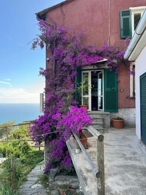 Апартаменти Amazing Flat At The Heart Of 5 Terre National Park Вернацца Екстер'єр фото